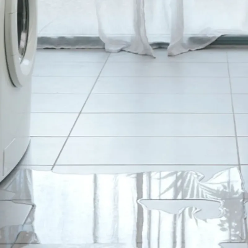 Appliance Leak Cleanup in Malone, FL