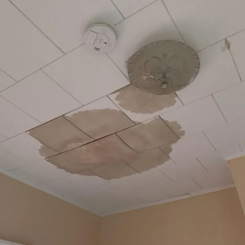 Ceiling Water Damage Repair in Malone, FL