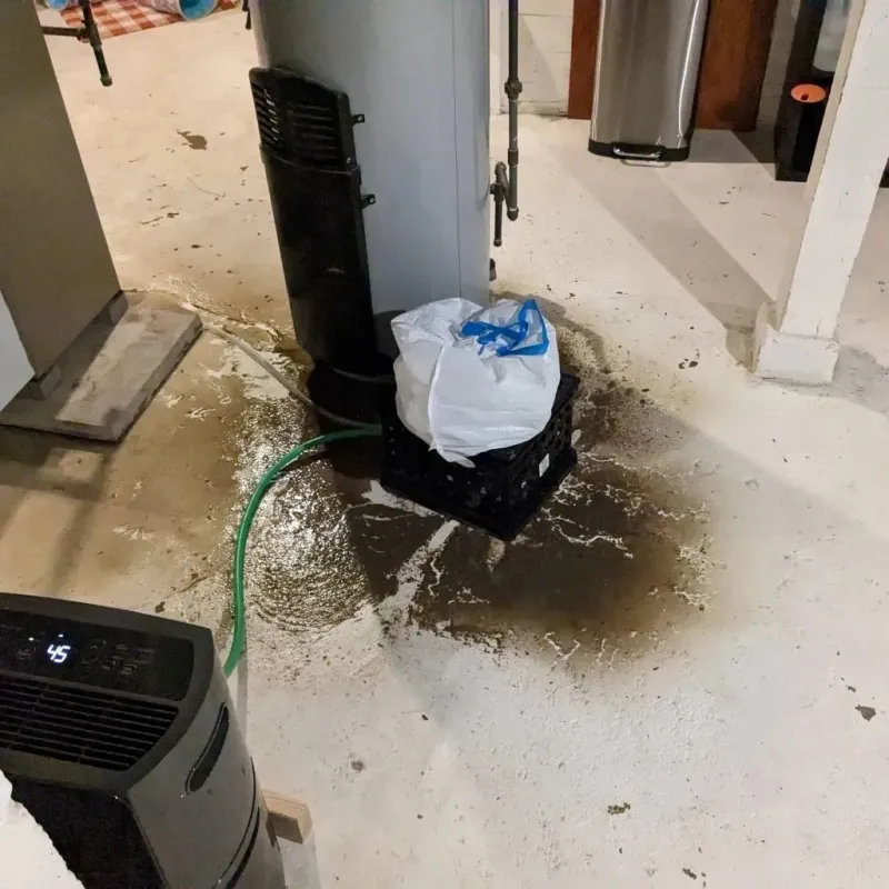 Sewage Backup Cleanup Service in Malone, FL